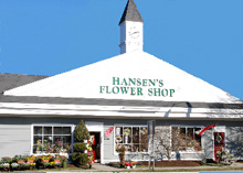 Hansen's Flowers